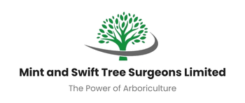 Tree Surgeons - Borehamwood, Barnet & St Albans - Mint & Swift Tree Surgeons